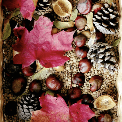 Image from SallyD