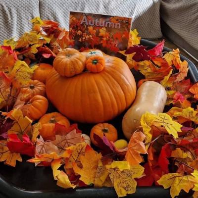 Image from Little Places