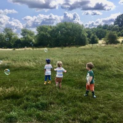 Image from Wild Ferns Childmind