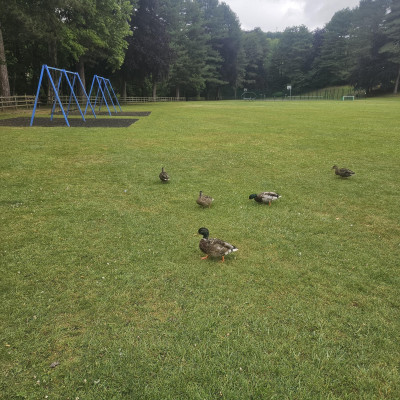 Image from Dionne