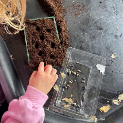 Image from LittleBarn