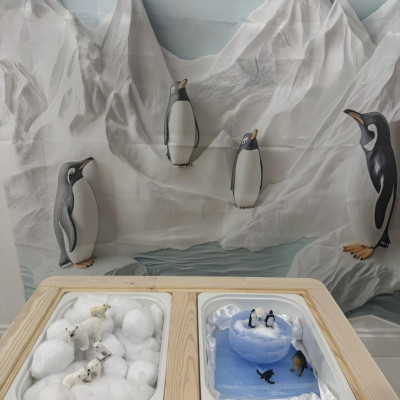 Image from First Steps Learning