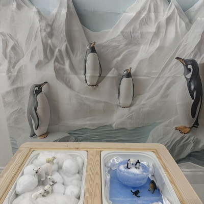 Image from First Steps Learning