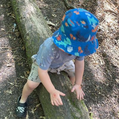 Image from Playful Dragonflies