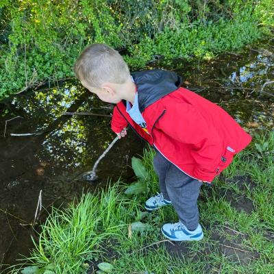 Image from Kerry79
