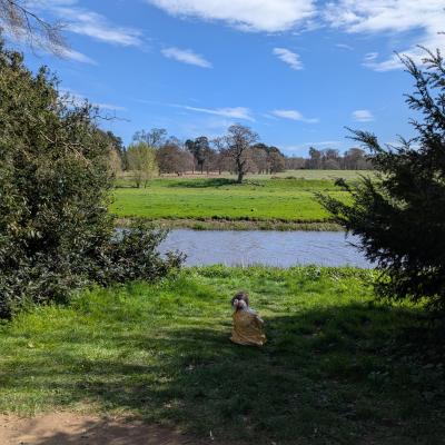 Image from Laura