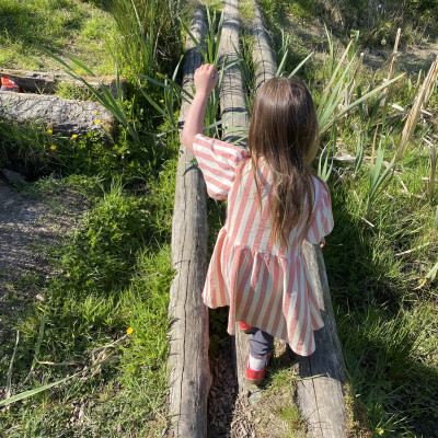 Image from Universal Guardian