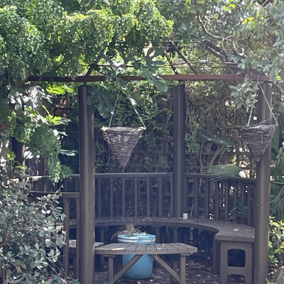 Image from Lee