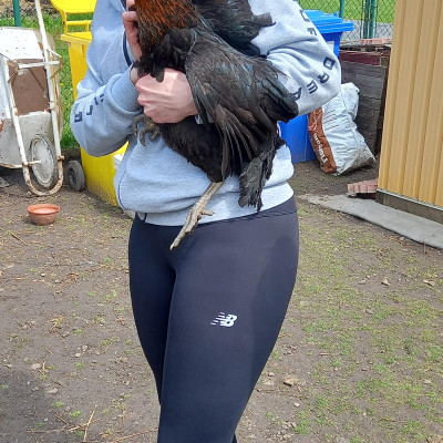 Image from Anna Lochova