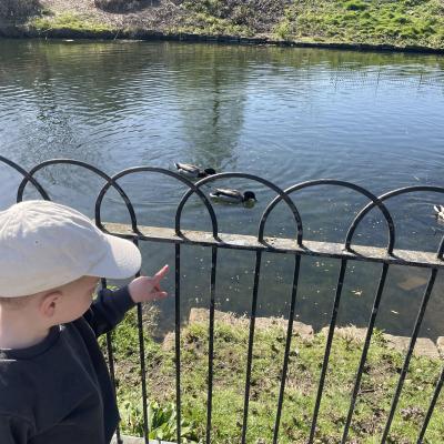 Image from Gemma