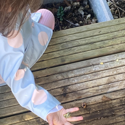 Image from Kiddies