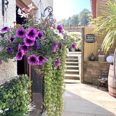 Image from Mischelle Akid