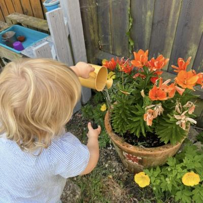 Image from Honeybees