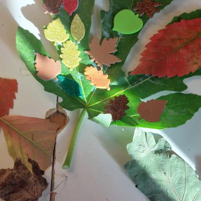 Image from Ruth