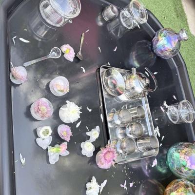 Image from Tiny Explorers 