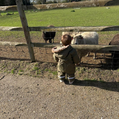 Image from Tiny Explorers 