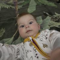 David