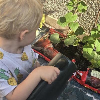 Image from Claire