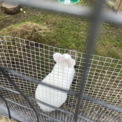 Image from Creative Buddies