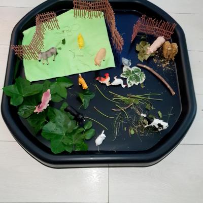 Image from shelane