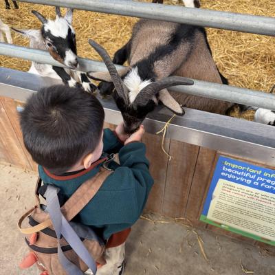Image from Beckys Childcare