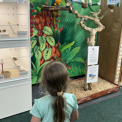 Image from Misbah childminder 