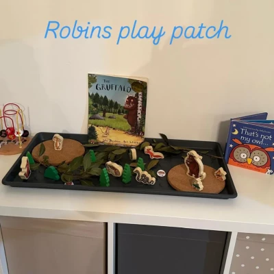 Image from RobinsPlayPatch