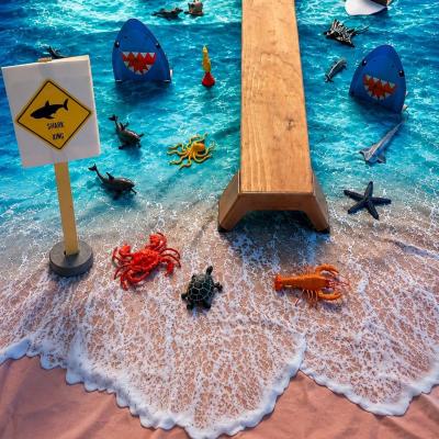 Image from Tiny Explorers 