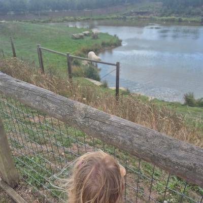 Image from Suzanne Lynn