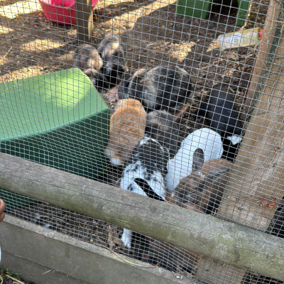 Image from MJ CHILDCARE