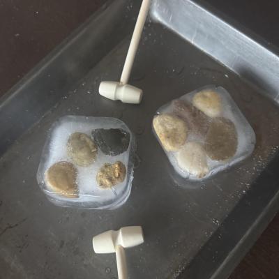 Image from Natural Learners