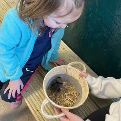 Image from Universal Guardian