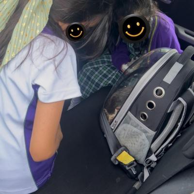 Image from Fizz