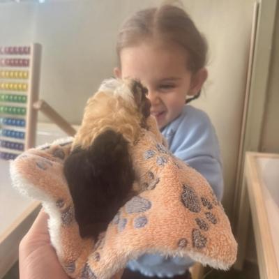 Image from Petitpoiscreche