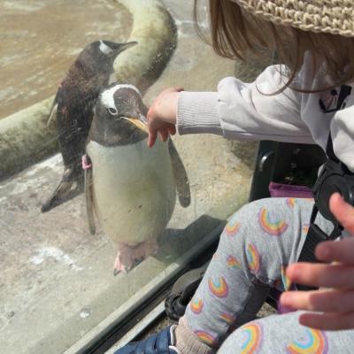 Image from Rachel