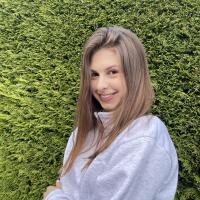 Vlada