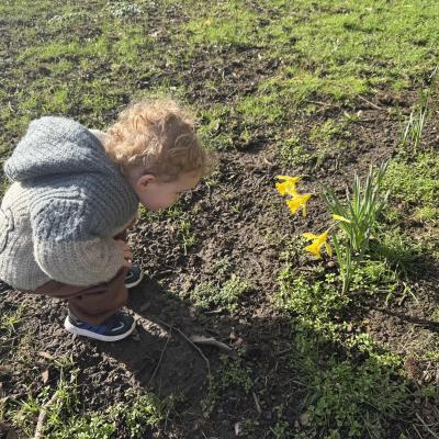 Image from Blue Bear Day Care