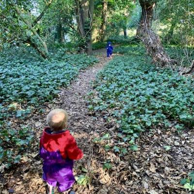 Image from Wild Ferns Childmind