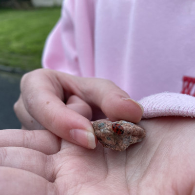 Image from Universal Guardian