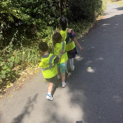 Image from Zeya 