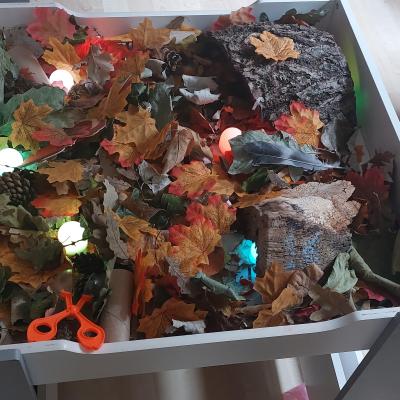 Image from Ruth