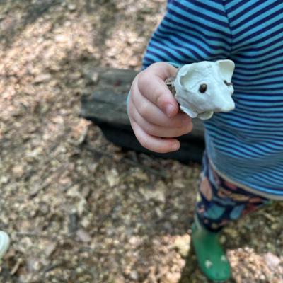 Image from hillfarm
