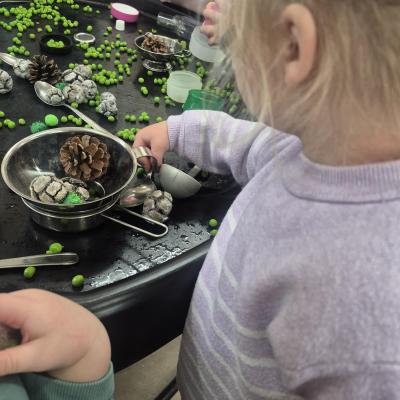 Image from Flora