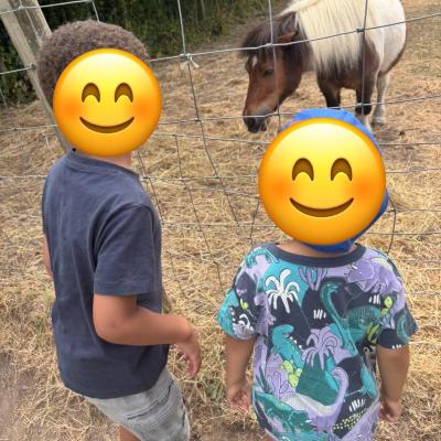 Image from Caterpil