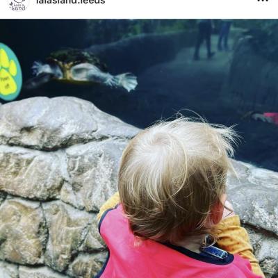 Image from lalasland
