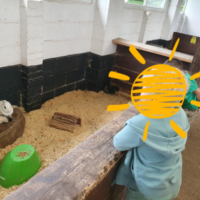 Image from Busy Tiny Hands