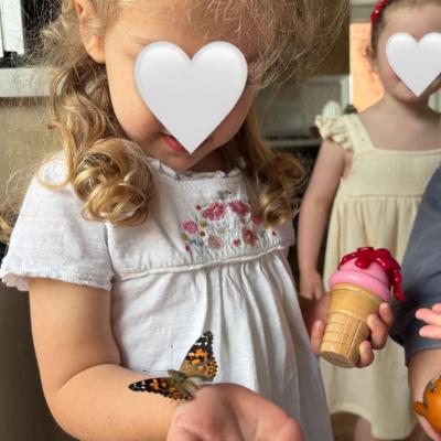 Image from Elise