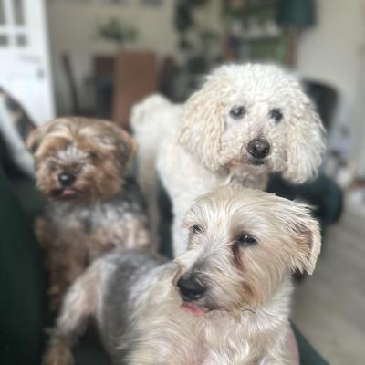 Image from sarahdee
