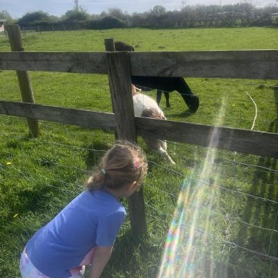 Image from Ellie