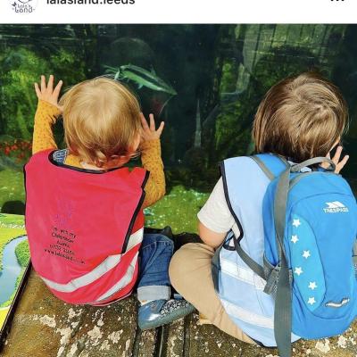 Image from lalasland